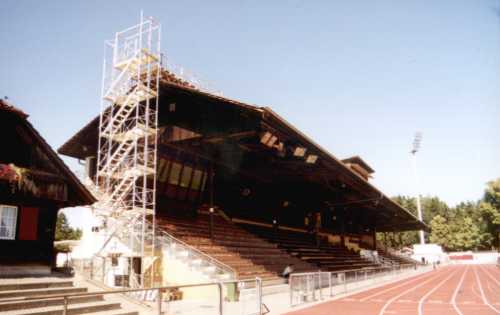 Stadion Neufeld - Trib�ne