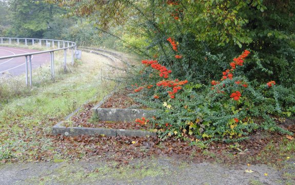 St&auml;dtisches Stadion
