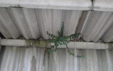 St&auml;dtisches Stadion