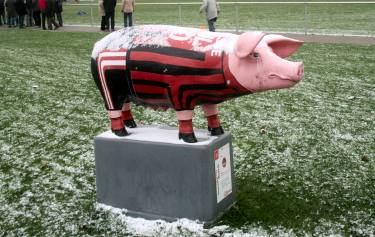 H&auml;genichstadion