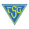 TSG D&uuml;lmen