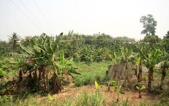 Aussicht aus dem Tro-Tro