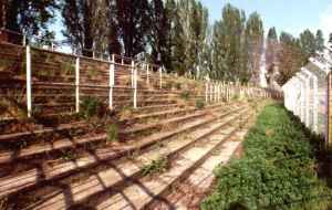 Hungaria K&ouml;ruti Palya